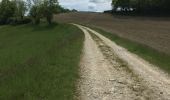 Trail Walking Charavines - Balade entre Clermont et Charavine - Photo 4