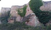 Randonnée Marche Neubois - Château de Frankenberg - Photo 2