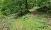 Excursión Senderismo Bouillon - Au départ de l'abbaye de Cordemois  - Photo 6