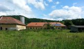 Percorso A piedi Gratwein-Straßengel - Wanderweg 35 - Photo 8