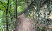 Randonnée Marche Valkenburg aan de Geul - Valkenburg  - Photo 12