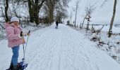 Excursión Raquetas de nieve Büllingen - Manderfeld (PVDB) - Photo 12