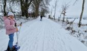 Tocht Sneeuwschoenen Büllingen - Manderfeld (PVDB) - Photo 12