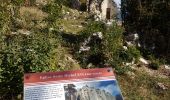 Tour Wandern Valderoure - Sommet du Beauroux : panoramique et champignons - Photo 15