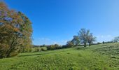 Trail Walking Aubel - Abbaye du Val-Dieu  - Photo 5