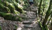 Randonnée Marche Lac de la Haute-Sûre - Bavigne - Photo 4