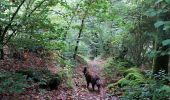 Tour Wandern Cros - Pont du diable 3 - Photo 4