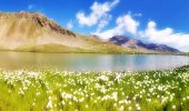 Randonnée Marche Freissinières - Lac de Palluel, Faravel et Fangeas - Photo 2