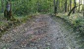 Randonnée Marche Azé - Azé - Bois et Champs - Photo 18