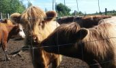 Randonnée Marche Theux - autour de Bronromme a travers campagne fagne et forêt  - Photo 4