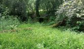 Trail Walking Trédion - PR_56_Tredion_AA_01_La-Villeneuve_Circuit1b_20240519 - Photo 9