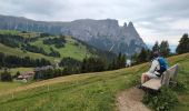 Tour Wandern Kastelruth - Seiser Alm - Puflatsch Rundweg zu den Hexenbänken - Photo 5