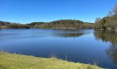 Trail Horseback riding Florenville - Les Epioux  - Photo 16