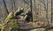 Tocht Stappen Stavelot - Stavelot- Chemin des source  14 Km - Photo 6