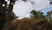 Excursión Senderismo Murbach - Murbach - Grand Ballon - Lac du Ballon - Col du Wolfsgrube - Photo 15