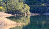 Percorso Marcia Bormes-les-Mimosas - SityTrail - Barrage du Trapan - Estagnol - Pellegrin - Photo 1