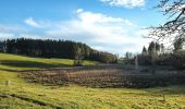 Percorso A piedi Wangen im Allgäu - Wanderweg 12 Wangen im Allgäu - Photo 5