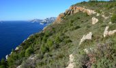 Excursión Senderismo Cassis - Pas de la Colle - Falaises Soubeyranes - Sémaphore du Bec de l'Aigle - Anse de Figuerolles - Parc Mugel - La Ciotat - Photo 6