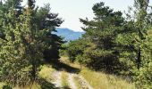 Tocht Stappen Mirabel-et-Blacons - Chapelle Saint-Christophe - Charsac - Photo 13