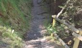 Excursión Senderismo Les Contamines-Montjoie - Le Lay - Gorges de la Gruvaz - Photo 2