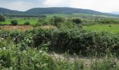 Percorso A piedi West Cork - Glanatnaw Walk - Photo 2