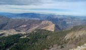 Trail Walking Le Castellard-Mélan - AUTHON . COL DE FONTBELLE . LA GRANDE AIGUILLE . GROTTE S VINCENT O L S - Photo 6