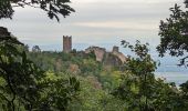 Tour Wandern Rappoltsweiler - 2023-08-26 Marche Ribeauville Taennchel - Photo 1