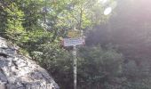 Trail On foot Lecco - Anello del Resegone - Photo 3