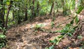 Tocht Stappen Petit-Bourg - Guadeloupe - Saut de la Lézarde - Photo 11