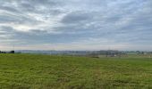 Tour Wandern Anzegem - Kaster 16,5 km - Photo 5