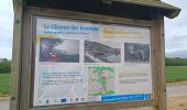 Trail Running Dinant - D'Anseremme à Dinant - Photo 8