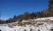 Tour Zu Fuß Velburg - Rundweg um den Sperlasberg - Photo 8