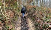 Trail Walking Chaumont-Gistoux - Dion-le-Val Bonlez - Photo 7