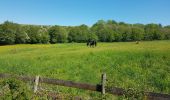 Tour Reiten Sivry-Rance - Rance / Renlies - Photo 14