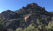 Tour Wandern Saint-Raphaël - Les Suvières et le Marsaou depuis Notre Dame - Photo 14