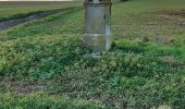 Percorso Marcia Merbes-le-Château - Merbes sainte pont de pierre et Belle maison - Photo 1