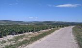 Percorso Mountainbike Chablis - Tacot de l'yonne le long du Serein - Photo 5