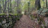 Tocht Stappen Ax-les-Thermes - Chemin de Runac - Photo 3