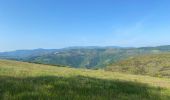 Randonnée Marche Pont de Montvert - Sud Mont Lozère - Bédoues saint jean du Gard GR70 gr43 - Photo 15