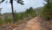 Trail Walking Moustiers-Sainte-Marie - Moustier saine Marie 11,4 km - Photo 7