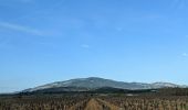 Randonnée Marche Camplong-d'Aude - La Montagne d'Alaric - Le Roc de l'Aigle - Photo 1