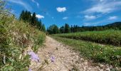 Trail Walking Bellefontaine - Autour de la citadelle. - Photo 4