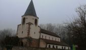 Trail Walking Molsheim - Molsheim bruche  - Photo 1