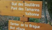 Tour Wandern Biot - la Brague  - Photo 16