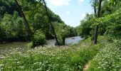Trail On foot Houyet - GrWandArdRiv27: Gendron: een prachtig stuk Beneden-Lesse (PVDB) - Photo 12