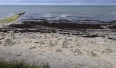 Randonnée Cyclotourisme Saint-Martin-de-Ré - Île de ré - Photo 4