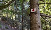 Tocht Stappen Plancher-les-Mines - 130722 - La planche des belles - au pieds du Ballons d’Alsaces - Photo 15