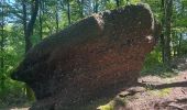 Excursión  Saverne - Château du haut barr Saverne  - Photo 8