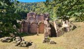 Trail Walking Saint-Nabor - Anciennes abbayes - Photo 18