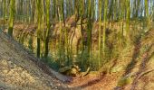 Tour Zu Fuß Nottuln - Longinusturm Rundweg A3 - Photo 7